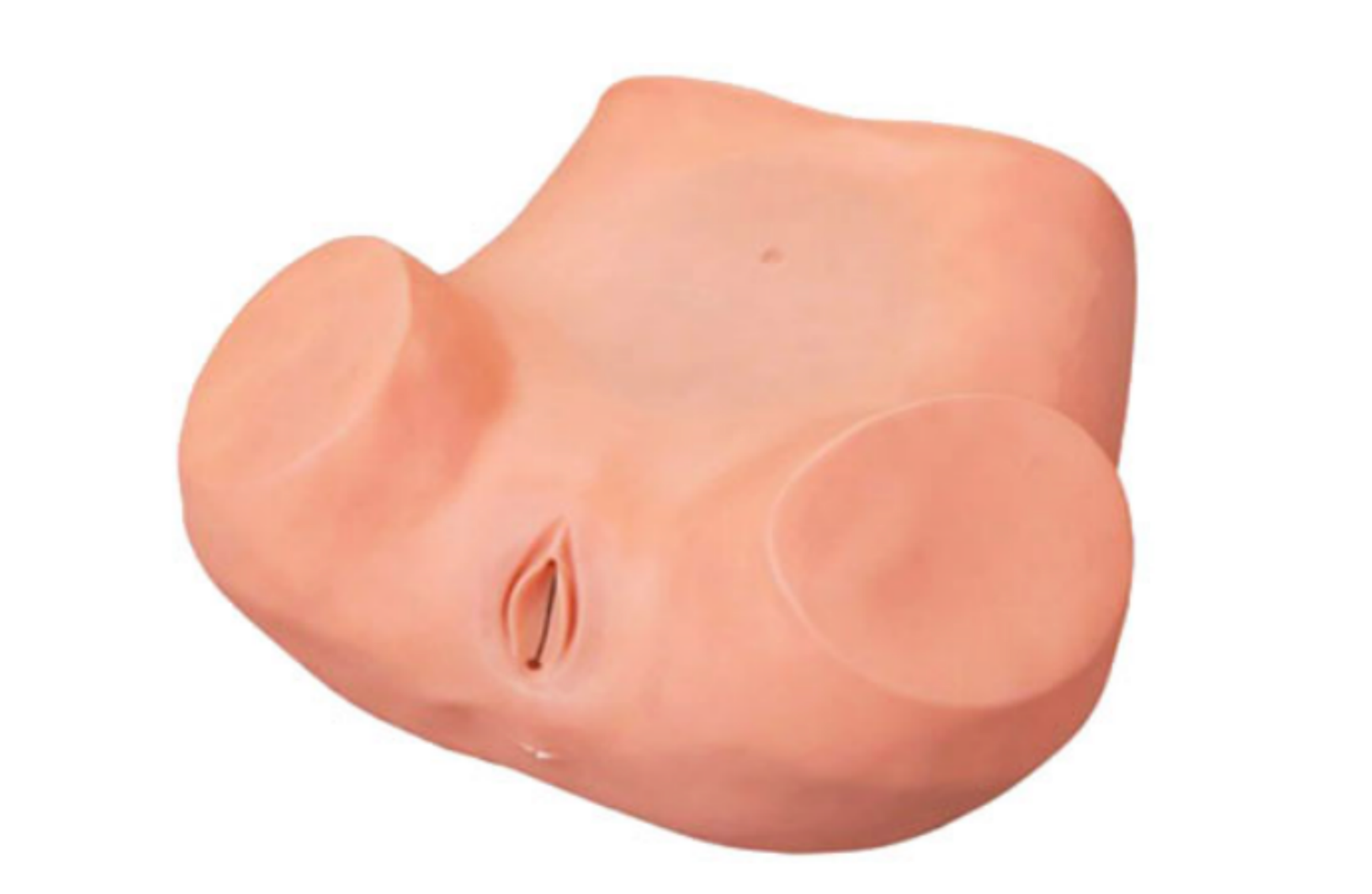 MF022 分段诊刮模型